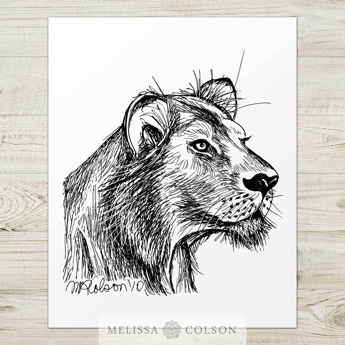 copy-of-lion-part-3-of-3-pen-