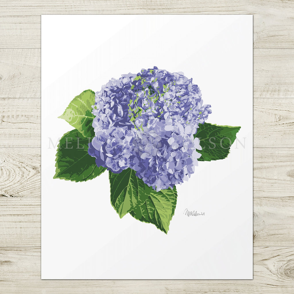 Purple Hydrangea Giclée Art Print - Melissa Colson
