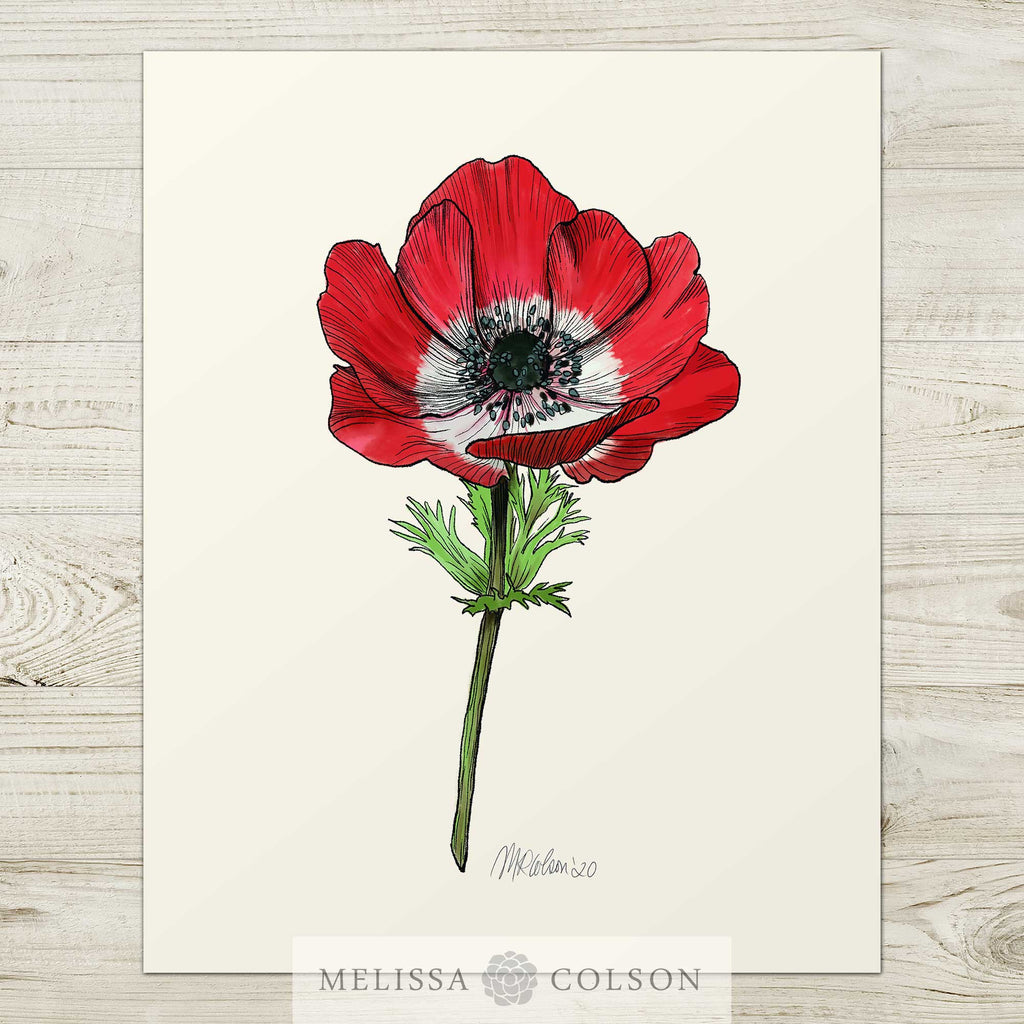 Red Poppy Giclée Watercolor Art Print - Melissa Colson