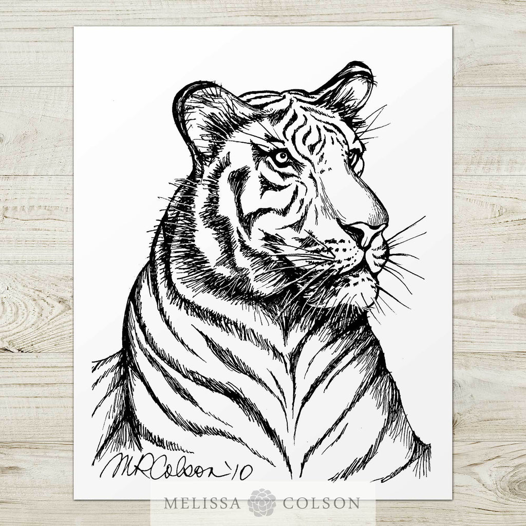 Tiger Pen and Ink Art Print - Melissa Colson