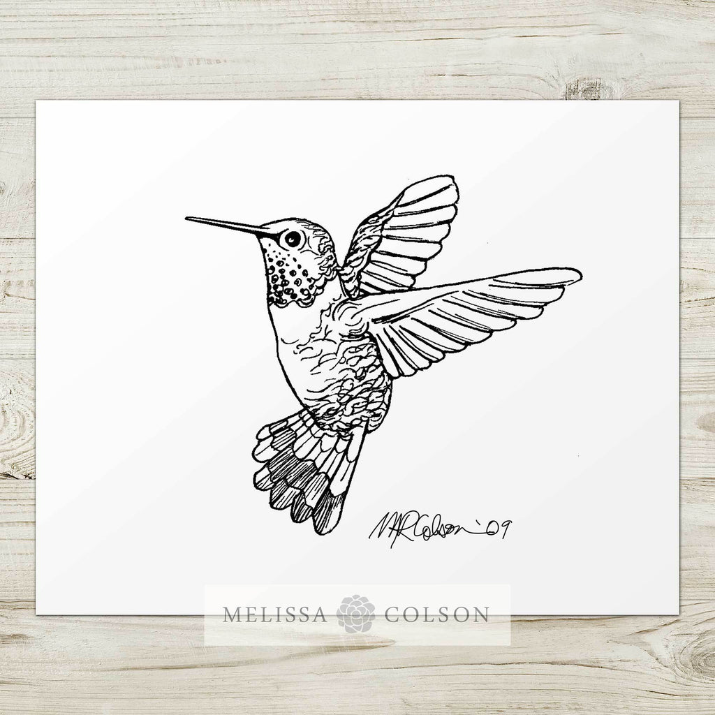 Hummingbird Pen and Ink Art Print - Melissa Colson