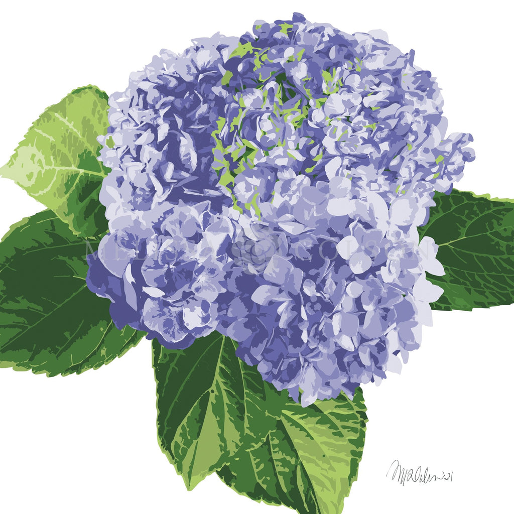 Purple Hydrangea Giclée Art Print - Melissa Colson