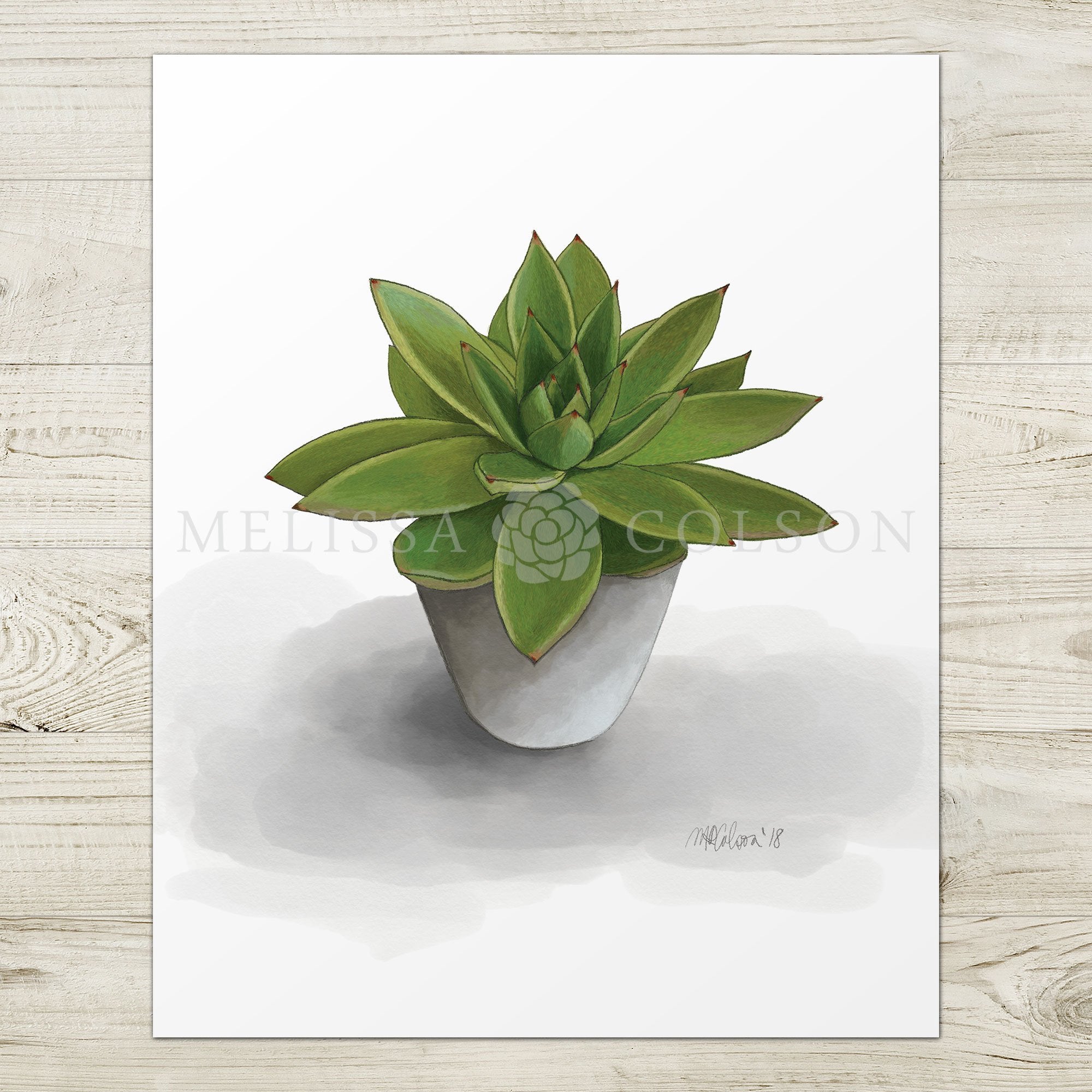 watercolor succulent in pot Melissa Colson Succulent Giclée Watercolor Art Print
